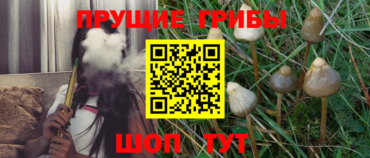 Галлюциногенные грибы Magic Shrooms Нижневартовск